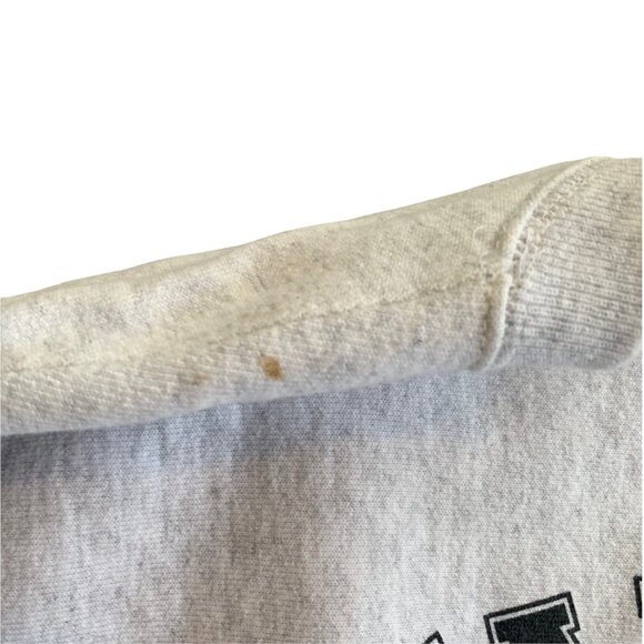 Champion Reverse Weave Warner Records Crewneck Sweatshirt S - Picture 3 of 8